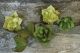 Double Sided Extra Fine Crepe Paper 2 Per Pkg Green Tea Cypress and Ferns Moss