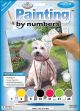 Junior Small Paint By Number Kit 8.75 inch X11.75 inch Time For A Walk
