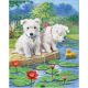 Color Pencil By Number Kit 8.75 Inch X11.75 Inch Westie Pups