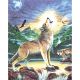 Color Pencil By Number Kit 8.75 inch X11.75 inch Wolf At Night