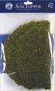 Super Moss Moss Pot Toppers 10 inch 3 Per Pkg Green