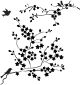 Crafters Workshop Template 12 inch X12 inch Cherry Blossoms
