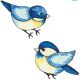 Wrights Iron On Appliques 2 Per Pkg Blue Birds
