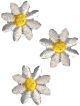 Wrights Iron On Appliques 3 Per Pkg White Daisies