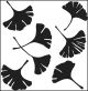 Crafters Workshop Template 12 Inch X12 Inch Ginkgo Leaves