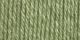 Patons Canadiana Yarn Solids Cherished Green 1 Pack of 1 Skein