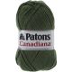 Patons Canadiana Yarn Solids Dark Green Tea 1 Pack of 1 Skein