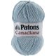 Patons Canadiana Yarn Solids Pale Teal 1 pack of 1 Skein
