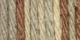Lily Sugar n Cream Yarn Ombres Super Size Earth Ombre 1 Pack of 1 Skein