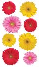 Sticko Stickers Gerbera Mix