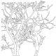 Crafter s Workshop Template 6 inch X6 inch Branches