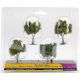 Deciduous Trees 2 inch To 3 inch 4 Per Pkg 