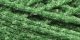 Cottage Mills Craft Yarn 20yd Christmas Green 1 Pack of 1 Skein