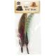 Pheasant Hackle Guinea Hat Trim 2pc Champagne And Mint