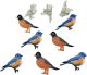 Eyelet Outlet Shape Brads 12 Per Pkg Blue Bird and Robin