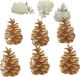 Eyelet Outlet Shape Brads 12 Per Pkg Pinecone