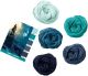 Caron X Pantone Yarn Morning Blues 1 pack of 1 Skein