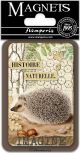 Stamperia Magnet 2.25 inch X3.25 inch Hedgehog