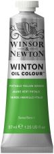 Winsor and Newton Winton Oil Colour 37ml Phthalo Yellow Green