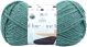 Lion Brand Hue and Me Yarn Agave 1 pack of 1 Skein