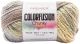 Premier Yarns Colorfusion Chunky Yarn Morning Coffee 1 Pack of 1Skeins