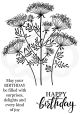 Woodware Clear Stamps 4Inch X6Inch Queen Annes Lace
