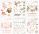 Vintage Artistry Rub Ons 6 Inch X8 Inch 6 Per Sheets Coral Per Natu