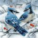 RIOLIS Counted Cross Stitch Kit 7.75 Inch X7.75 Inch Blue Jays 14 Count