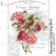 Dress My Craft Transfer Me Sheet A4 Reverse Chirping Bird