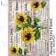 Dress My Craft Transfer Me Sheet A4 Reverse Sunny