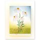 Penny Black Creative Dies Bunch Of Daisies