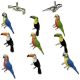 Eyelet Outlet Shape Brads 12 Per Pkg Tropical Bird