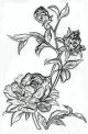 Sizzix 3D Texture Fades Embossing Folder By Tim Holtz Mini Roses