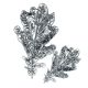 Sizzix 3D Impresslits Embossing Folder By Tim Holtz Oak Leaf