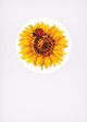 Vervaco Counted Cross Stitch Greeting Card Kit 4.2 Inch X6 Inch 3 Per Pk Summer Flowers 18 Count