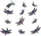 Eyelet Outlet Shape Brads 12 Per Pkg Dragonfly