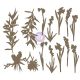 Sharon Viv Chipboard Die Cuts Bloom 13 Per Pkg