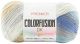 Premier Yarns Colorfusion DK Yarn Seaside 1 pack of 1 Skein