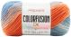 Premier Yarns Colorfusion DK Yarn Wildflower 1 pack of 1 Skein
