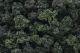 Woodland Scenics Forest Blend Bushes