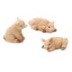 Yard And Garden Minis Pigs Resin 1.4 X 1 Inches