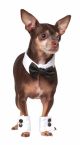 Pet Tuxedo Bowtie And Cuff Set Small Medium