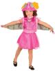 Paw Patrol Kids Skye Costume Female Small