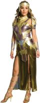 Costume Wonder Woman Movie Deluxe Hippolyta Costume Small