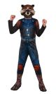 Guardians Of The Galaxy Rocket Raccoon Kids Costume Large