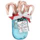 Sizzix Christmas Collection Framelits Die With Clear Acrylic Stamp Set Candy Cane Wishes