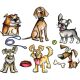 Sizzix Tim Holtz Alterations Crazy Dogs Framelits Dies 2.56 1pack