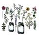 Sizzix Framelits Dies By Tim Holtz Flower Jar