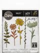 Sizzix Thinlits Dies By Tim Holtz Wildflower Stems 1 Pack of 1 Piece