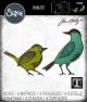 Sizzix Thinlits Dies By Tim Holtz Feathered Friends 1 Pack of 1 Piece